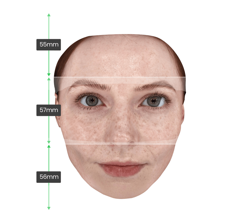 Facial Third
